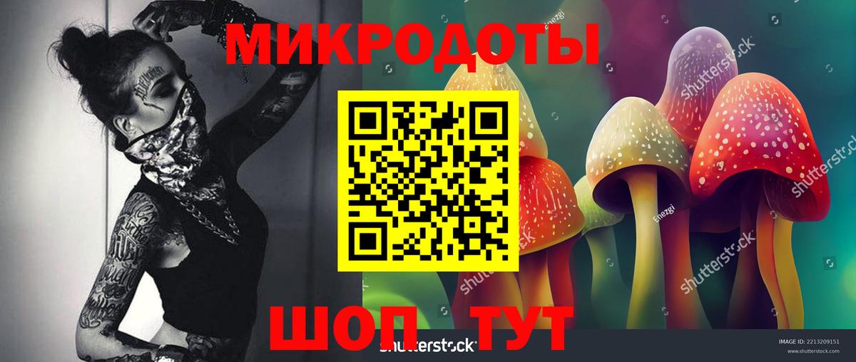 Псилоцибиновые грибы Magic Shrooms  Вход с VPN  Жигулёвск  закладка  Галлюциногенные грибы Cubensis 